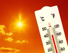 包含热传：恩比德球队席_山东的词条|EVO真人互动直播系统